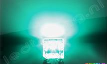 3mm SuperFlux LED 75° 4500mcd Turquoise