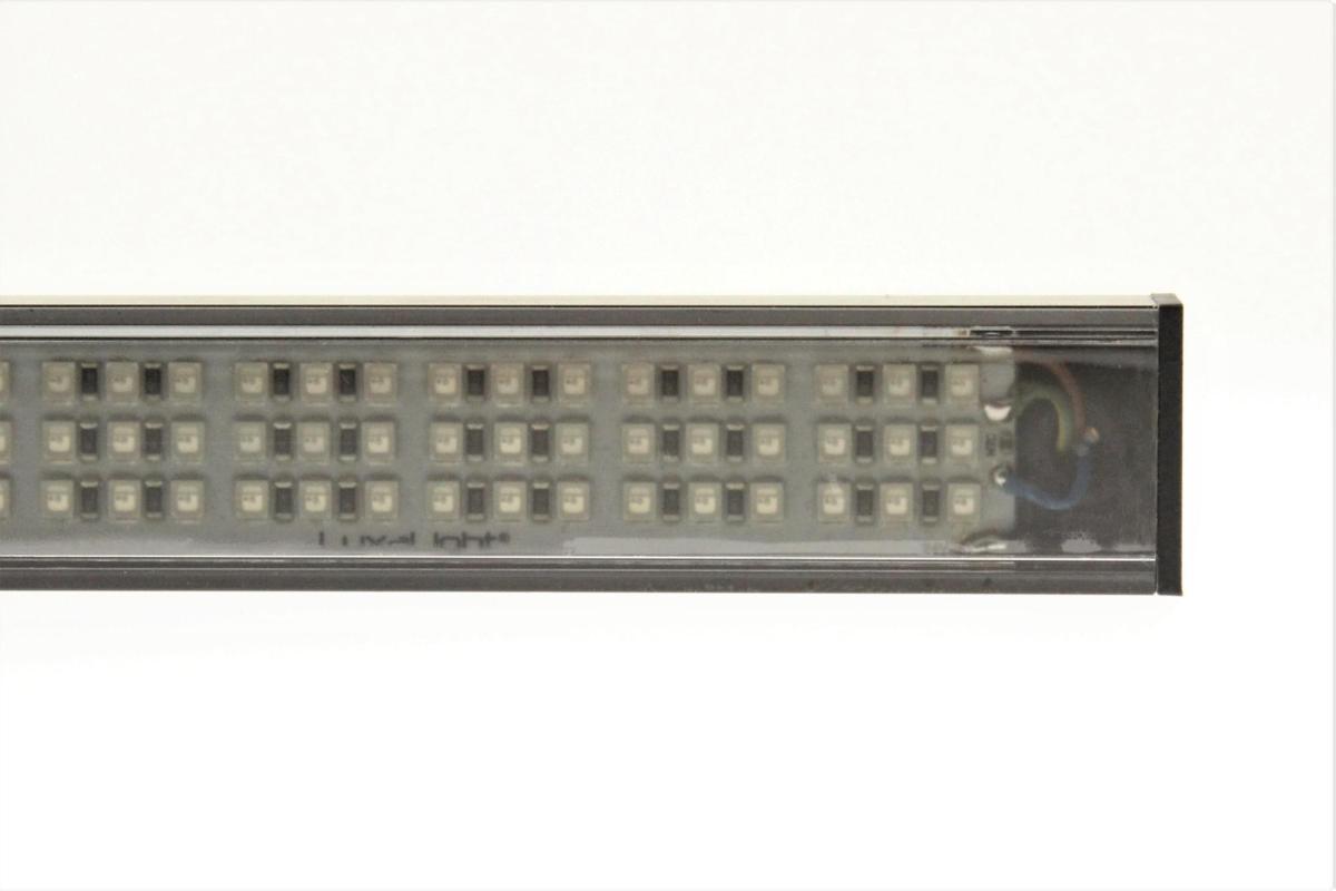 LuxaLight Industrial LED Fixture Polarised cover Deep Red 660nm 24.2x16mm (24 Volt, 2835, IP64)