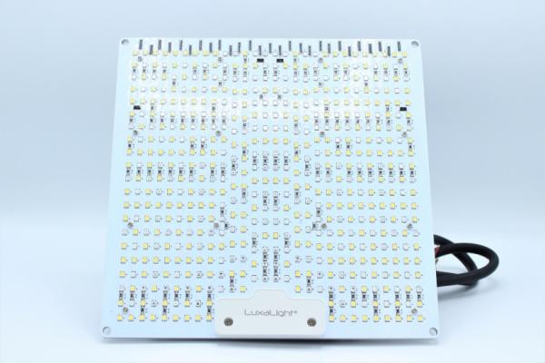 LuxaLight science board for horticulture