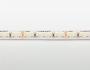 LuxaLight LED-strip Cool White 8000K Protected (24 Volt, 140 LEDs, 2835, IP64)