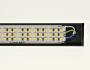 LuxaLight LED Engine Wit 5700K Beschermd (24 Volt, 108 LEDs, 2835, IP64)