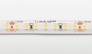 LuxaLight LED-strip Wit 5500K Beschermd (24 Volt, 140 LEDs, 2835, IP64)