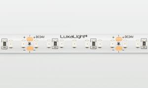 LuxaLight LED-strip Verrood 730nm beschermd (24 Volt, 140 LEDs, 2835, IP64)