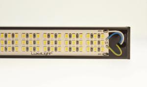 LuxaLight Industriële LED Armatuur Transparant IP68 Wit Volledig Spectrum 5700K 24.2x16mm (24 Volt, 2835, IP68)