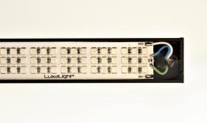 LuxaLight Industrial LED Fixture Transparent IP68 Blue 450nm 24.2x16mm (24 Volt, 2835, IP68)