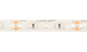 LuxaLight UV LED-strip 395nm Protected (24 Volt, 140 LEDs, 2835, IP64)