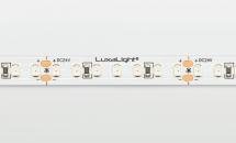 LuxaLight Long Life LED-strip Red Indoor (24 Volt, 140 LEDs, 2835, IP20)