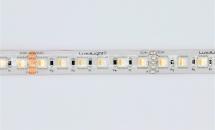 LuxaLight LED-strip Full-color RGB + Warm White (2700-2900K), RGBWW High Power Protected (24 Volt, 96 LEDs, 5050, IP64)