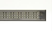 LuxaLight Industrial LED Fixture Polarised cover Near Infrared 960nm 24.2x16mm (24 Volt, 2835, IP64)