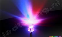 Bi-color 3mm LED Rood-Blauw C.C.