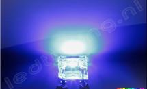 Flat SuperFlux LED 120° 1200mcd Blue