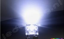 3mm SuperFlux LED 75° 5300mcd Wit 3mm SuperFlux LED 75° 5300mcd Wit