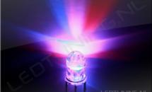 Bi-color 5mm LED Rood-Blauw C.C. Bi-color 5mm LED Rood-Blauw C.C.